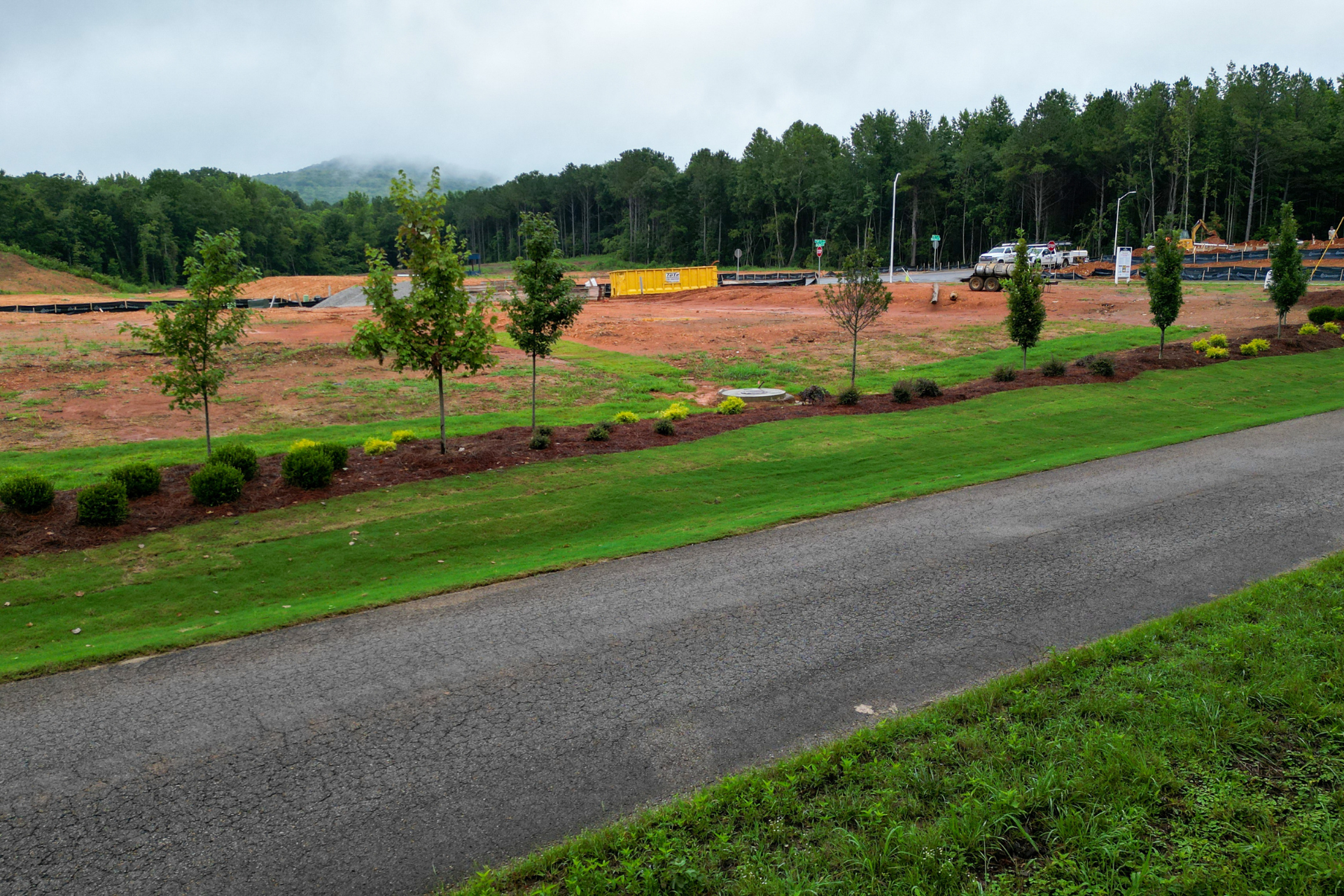 sod installation athens al