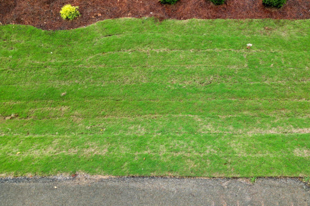 athens-sod-installation